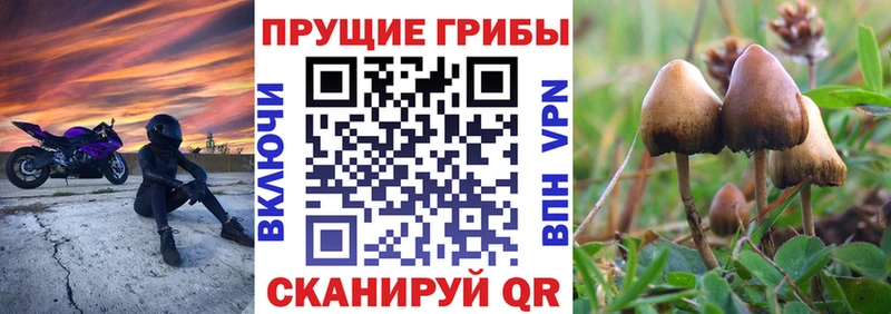 Псилоцибиновые грибы MAGIC MUSHROOMS  Чулым 